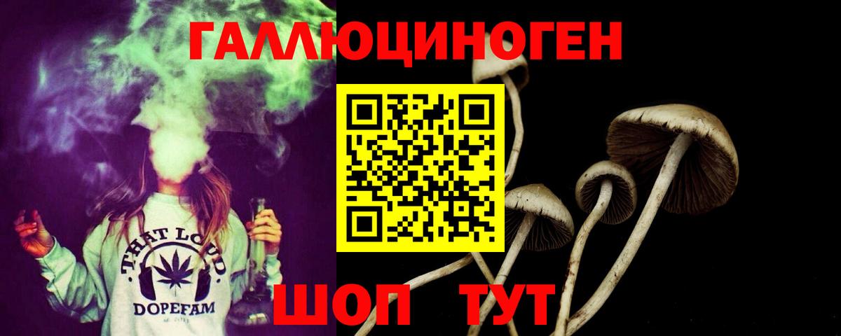 Ульяновск  Галлюциногенные грибы мухоморы  Вход с VPN 